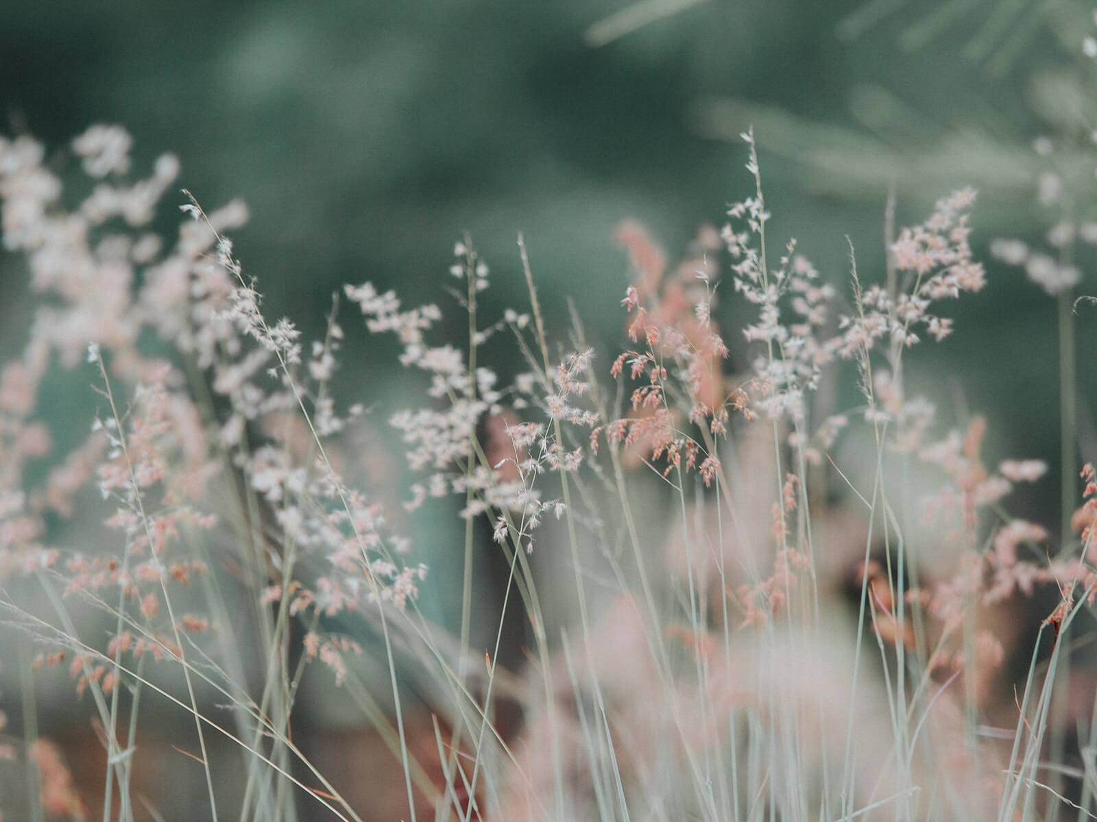  Nature Photos